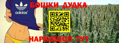 молекула духа Коммунар