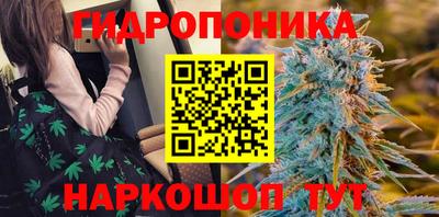 молекула духа Коммунар
