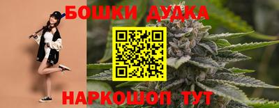молекула духа Коммунар