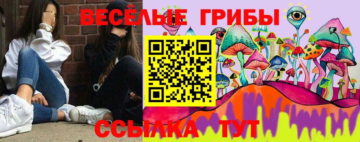 Галлюциногенные грибы Psilocybe Ипатово